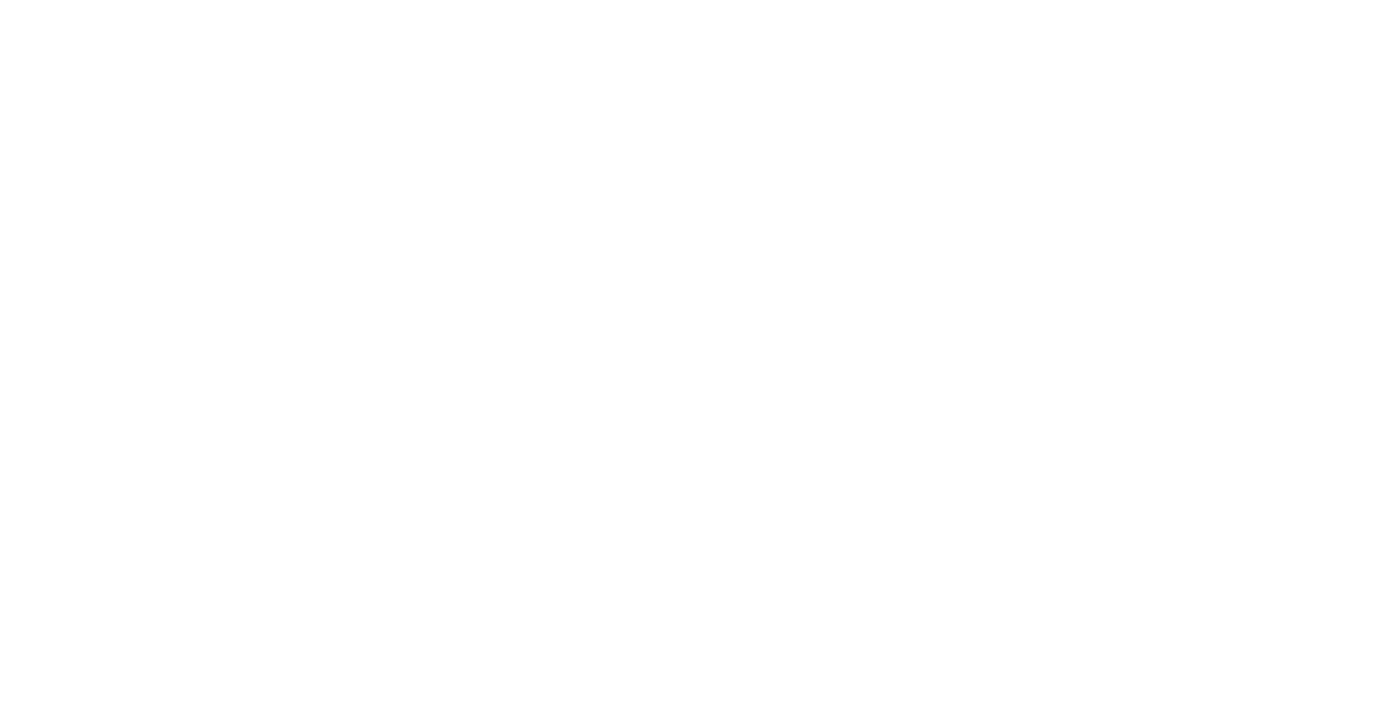 Max Pecuária 